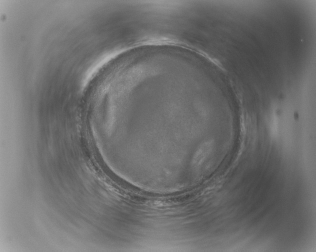 X0000051881311200507151902