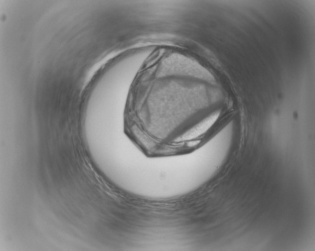 X0000051881312200507151902