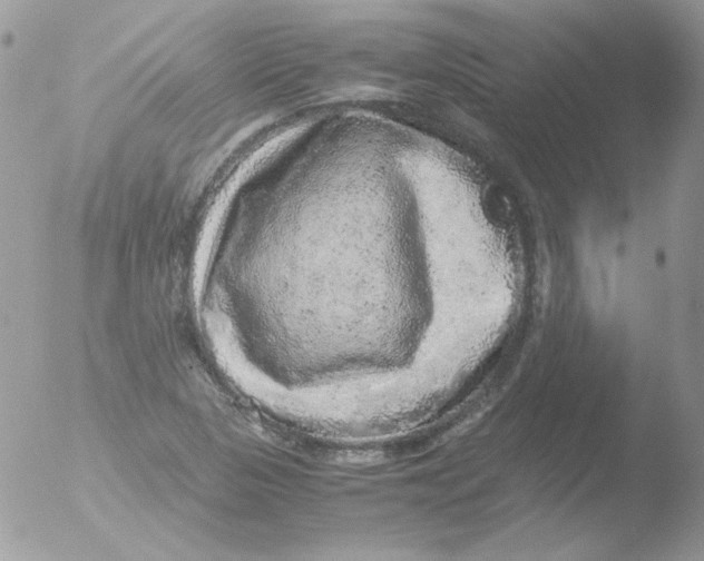 X0000051881313200507151902