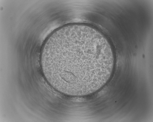 X0000051881314200507151902