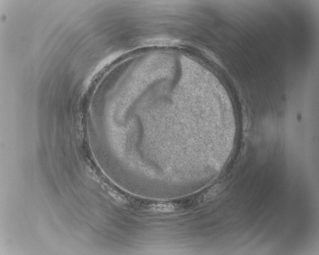 X0000051881315200507151902