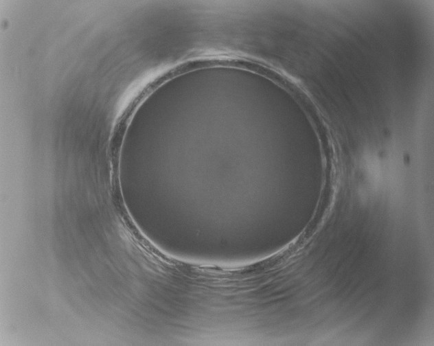 X0000051881319200507151902