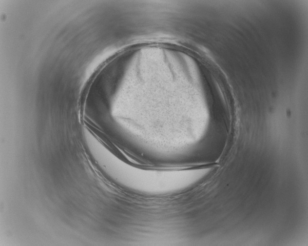 X0000051881320200507151902