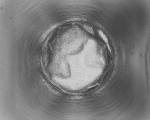 X0000051881321200507151902