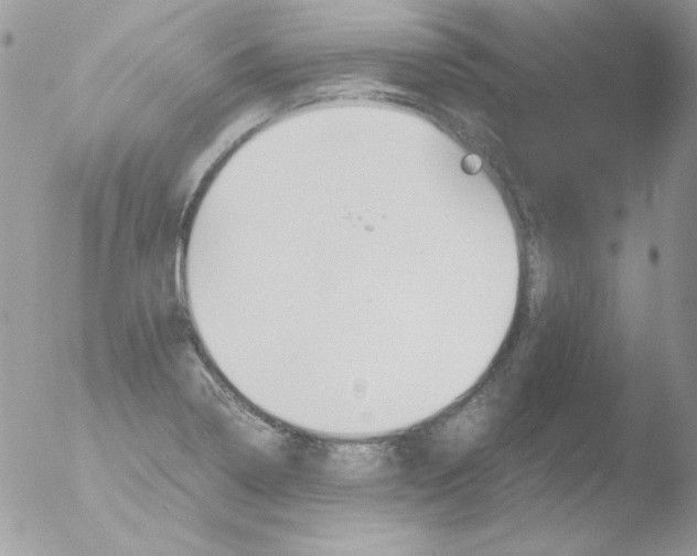 X0000051881322200507151902