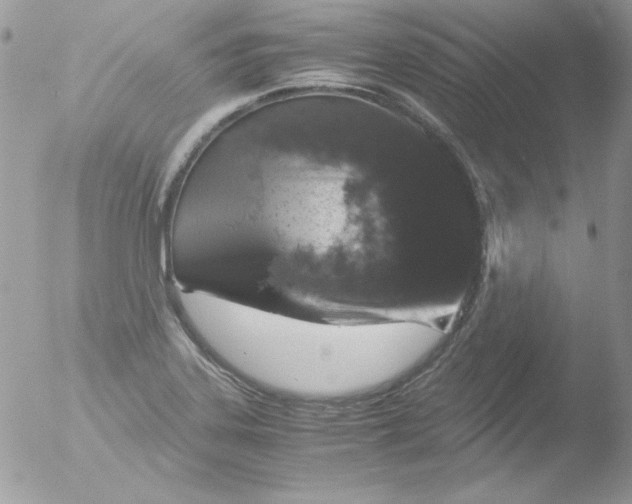 X0000051881323200507151902