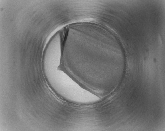 X0000051881324200507151902