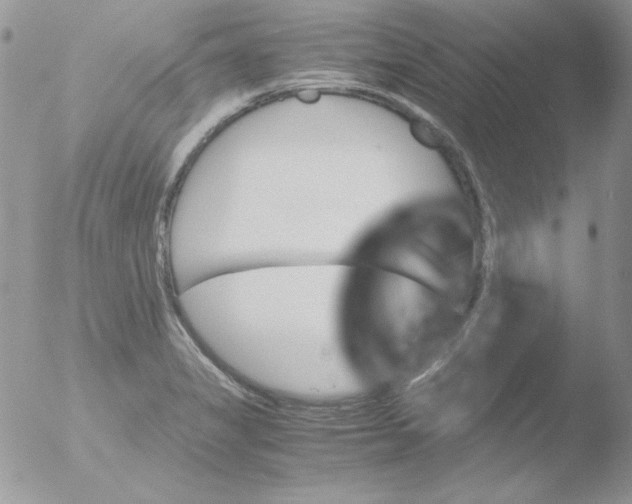 X0000051881325200507151902