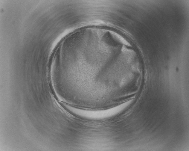 X0000051881326200507151902