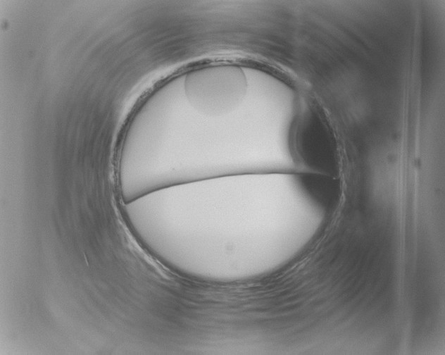 X0000051881327200507151902