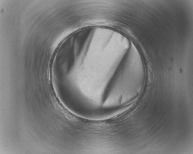 X0000051881328200507151902