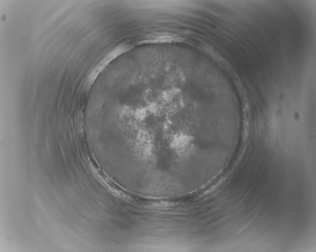 X0000051881329200507151902