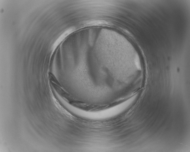 X0000051881330200507151902