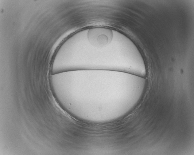 X0000051881331200507151902