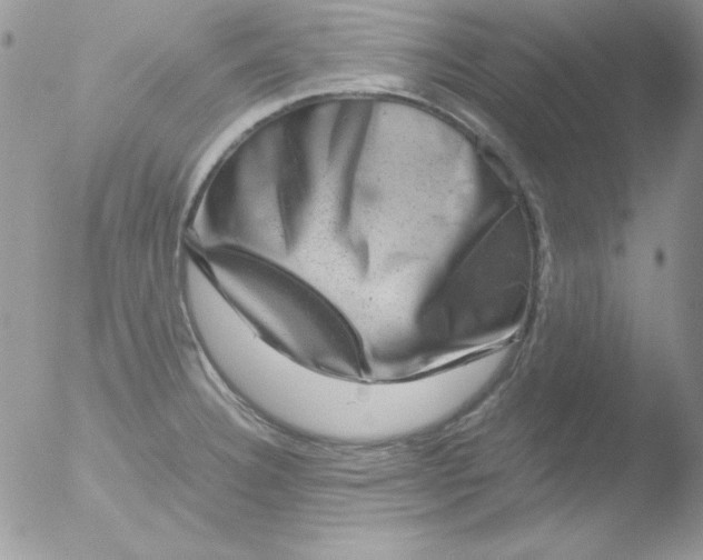 X0000051881332200507151902