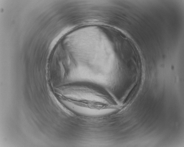 X0000051881333200507151902