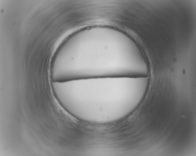 X0000051881334200507151902