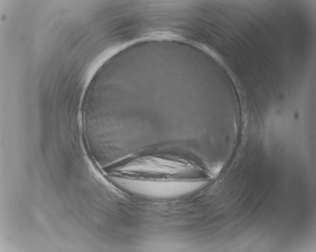 X0000051881335200507151902