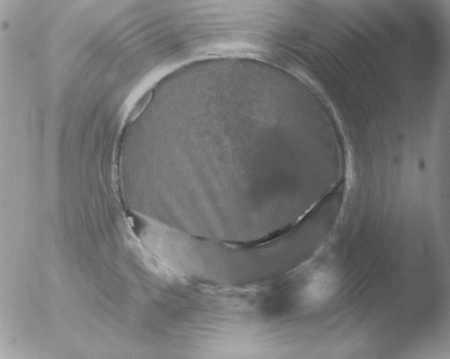 X0000051881336200507151902