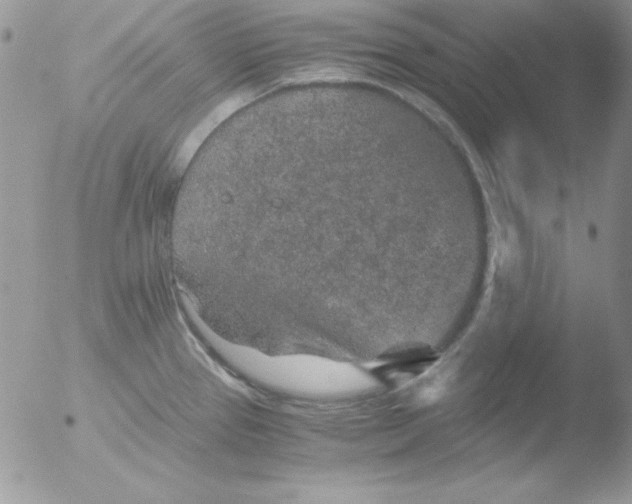 X0000051881337200507151902