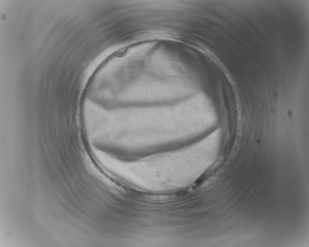 X0000051881339200507151902