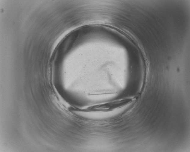 X0000051881340200507151902