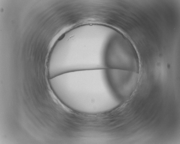 X0000051881341200507151902