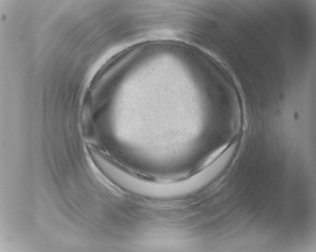 X0000051881342200507151902