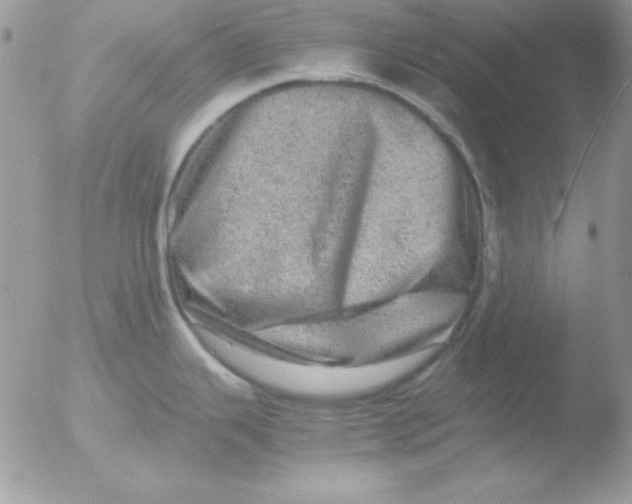 X0000051881343200507151902