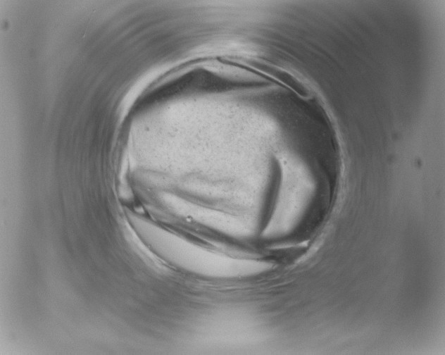 X0000051881344200507151902