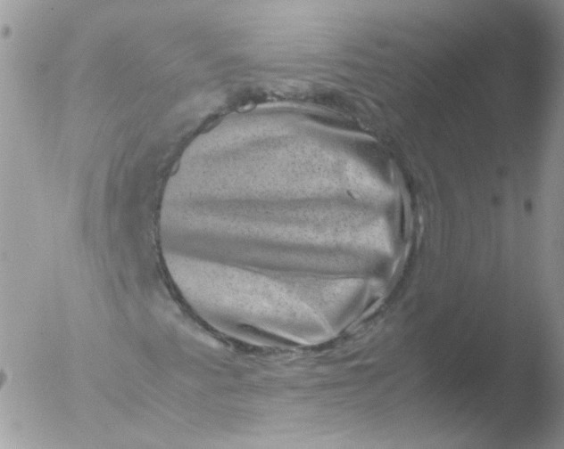 X0000051881345200507151902