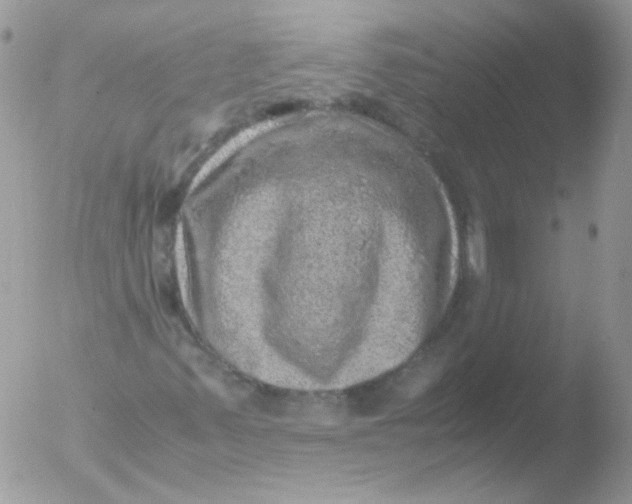 X0000051881347200507151902