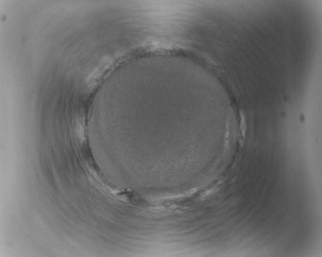 X0000051881348200507151902