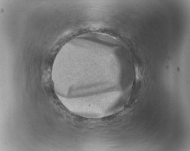 X0000051881349200507151902