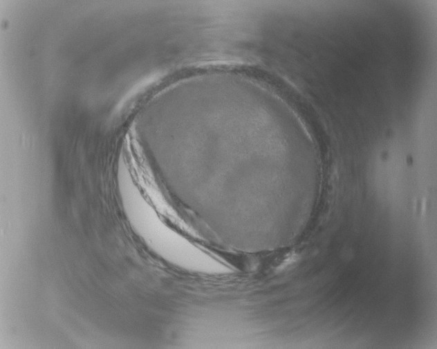 X0000051881351200507151902