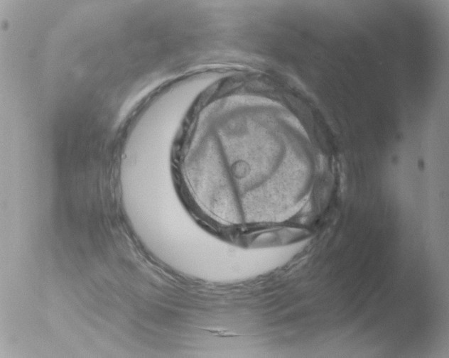 X0000051881352200507151901