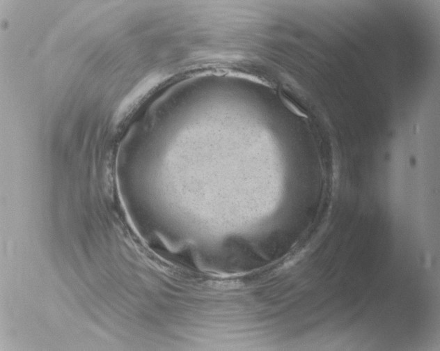 X0000051881354200507151901