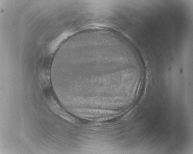 X0000051881355200507151901