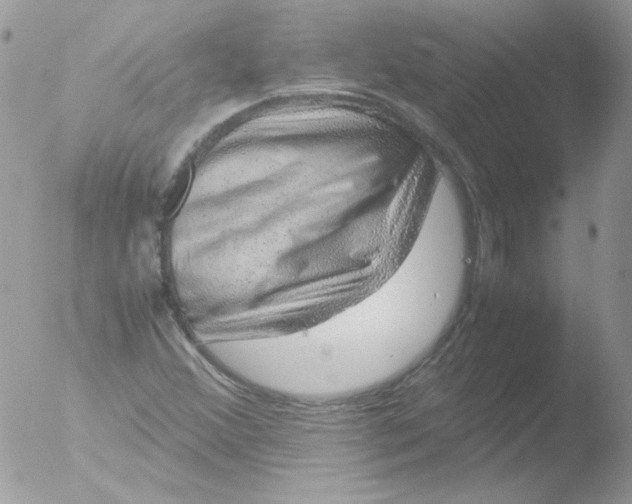 X0000051881356200507151901