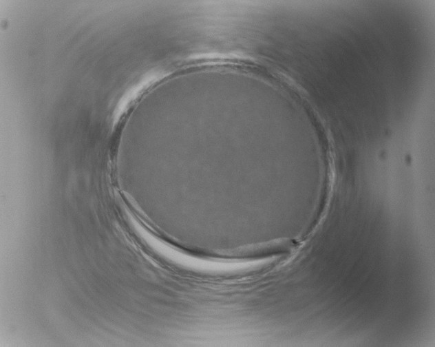 X0000051881357200507151901