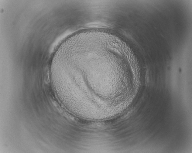 X0000051881358200507151901