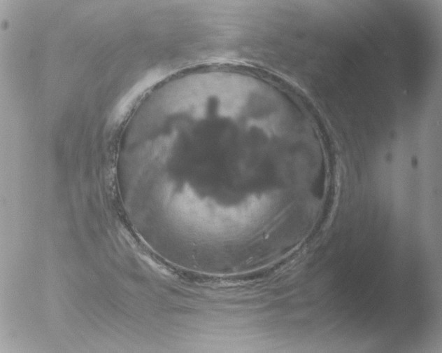 X0000051881359200507151901