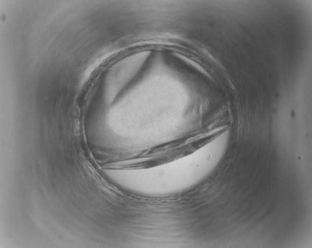 X0000051881360200507151901