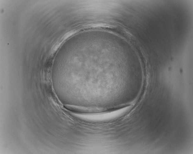 X0000051881361200507151901