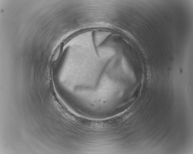 X0000051881364200507151901