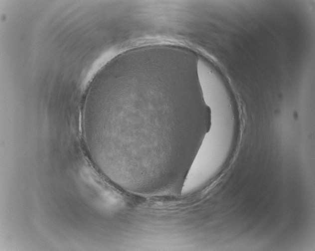 X0000051881365200507151901