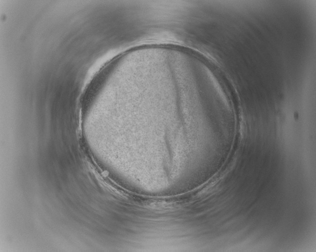 X0000051881366200507151901