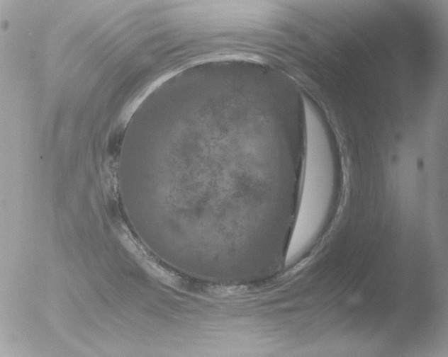 X0000051881369200507151901