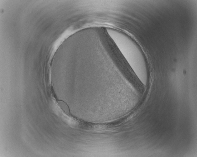 X0000051881371200507151901