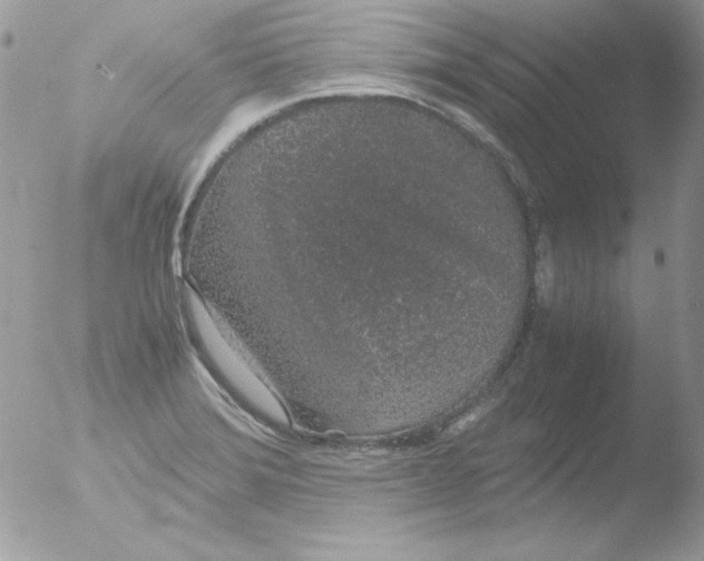 X0000051881372200507151901